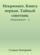 Некромант Книга первая Тайный советник