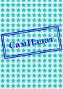 Немного о богах и жизни после смерти СИ