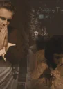 Неожиданная встреча СИ