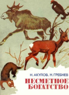 Николай Селиверстович Акулов Николай Николаевич Гребнев Несметное богатство