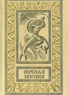 Ночная погоня
