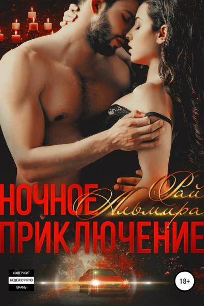 Ночное приключение