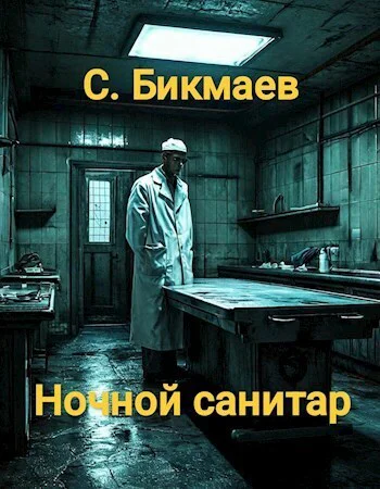 Ночной санитар СИ