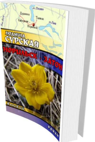 Норильск  Затон