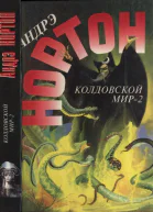 Нортон А Колдовской мир  2 Поворот Бури победы