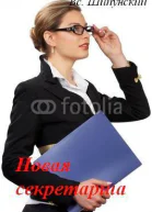 Новая секретарша СИ