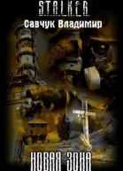 Новая зона СИ