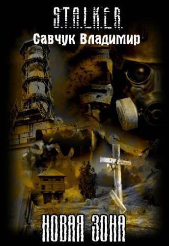 Новая зона СИ
