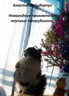 Новогодние приключения научных сотрудников