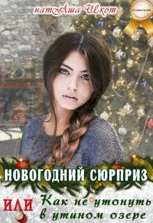 Новогодний сюрприз или Как не утонуть в утином озере