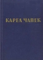 О собачьих обычаях