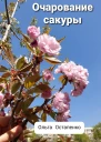 Очарование сакуры