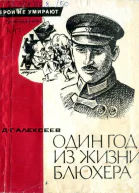 Один год из жизни Блюхера