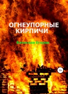 Огнеупорные кирпичи