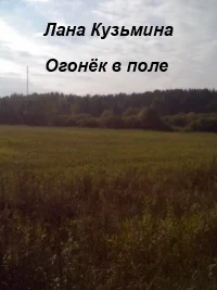 Огонёк в поле СИ