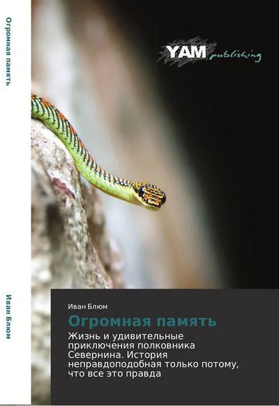 Огромная память СИ