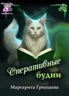 Оперативные будни