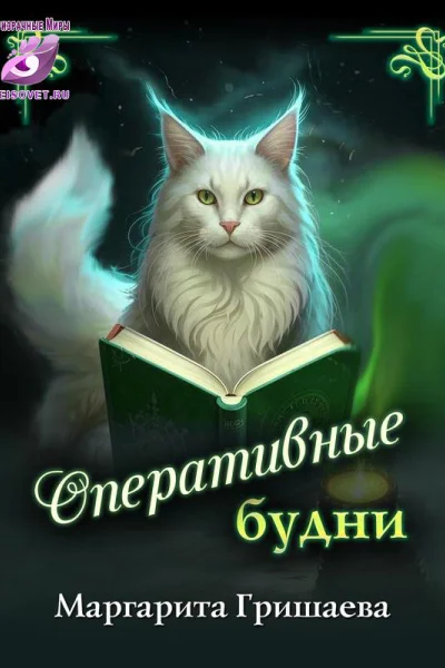 Оперативные будни