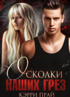 Осколки наших грез