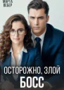 Осторожно злой босс СИ