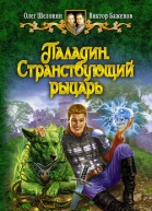 Паладин Странствующий рыцарь