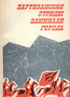 Партизанские отряды занимали города