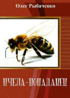 Пчелапопаданец