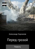Перед грозой