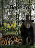 Перерождённые СИ