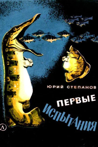 Первые испытания