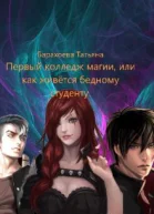 Первый колледж магии или как живется бедному студенту