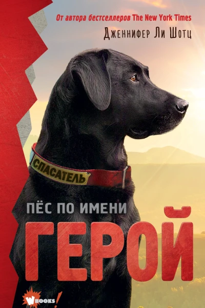 Пёс по имени Герой litres