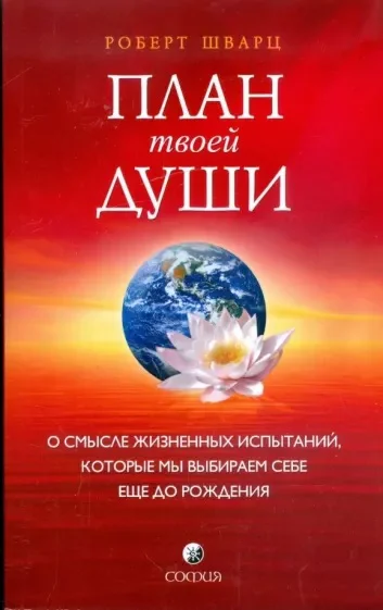 План твоей души О смысле жизненных испытаний которые мы выбираем себе еще до рождения