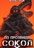 По прозвищу Сокол Том 2