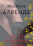По ту сторону зимы роман
