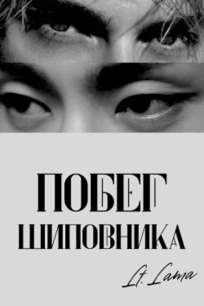 Побег шиповника Часть I