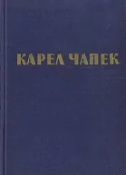 Почему терьеры роются в земле