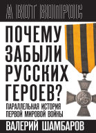 Почему забыли русских героев Параллельная история Первой мировой войны