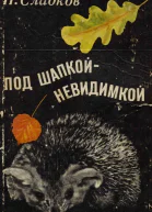 Под шапкойневидимкой