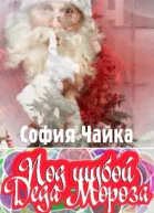 Под шубой Деда Мороза