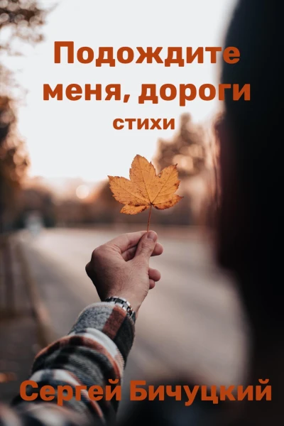 Подождите меня дороги