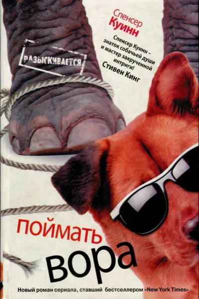 Поймать вора