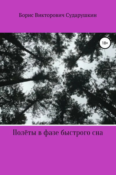 Полёты в фазе быстрого сна