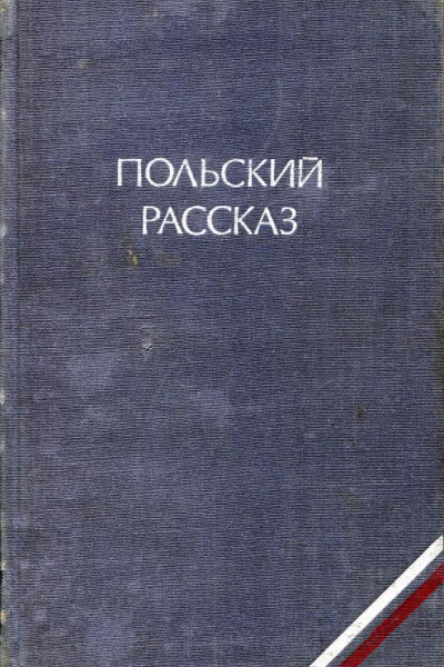 Польский рассказ