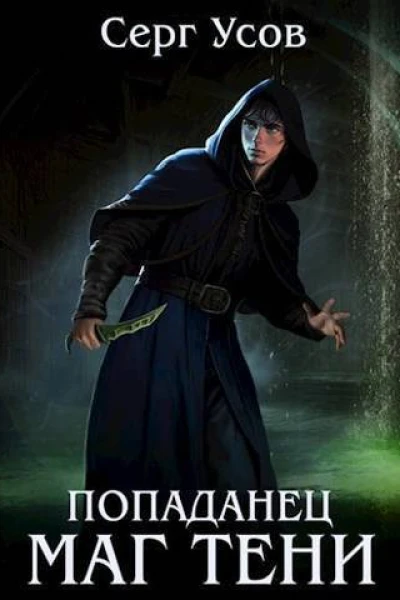 Попаданец Маг Тени Книга 6 СИ