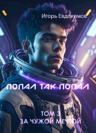 Попал так попал Том 3 СИ