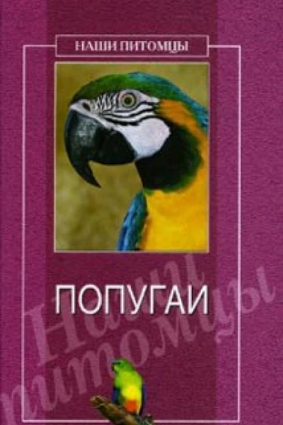 Попугаи