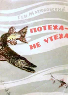 Потеха  не утеха