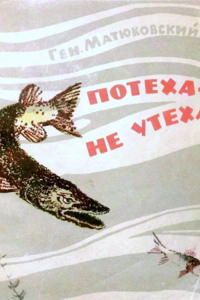 Потеха  не утеха