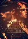 Повелители стихий Корона Чёрного Солнца